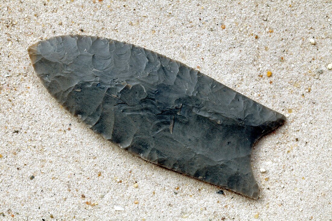 Native American flint arrowhead