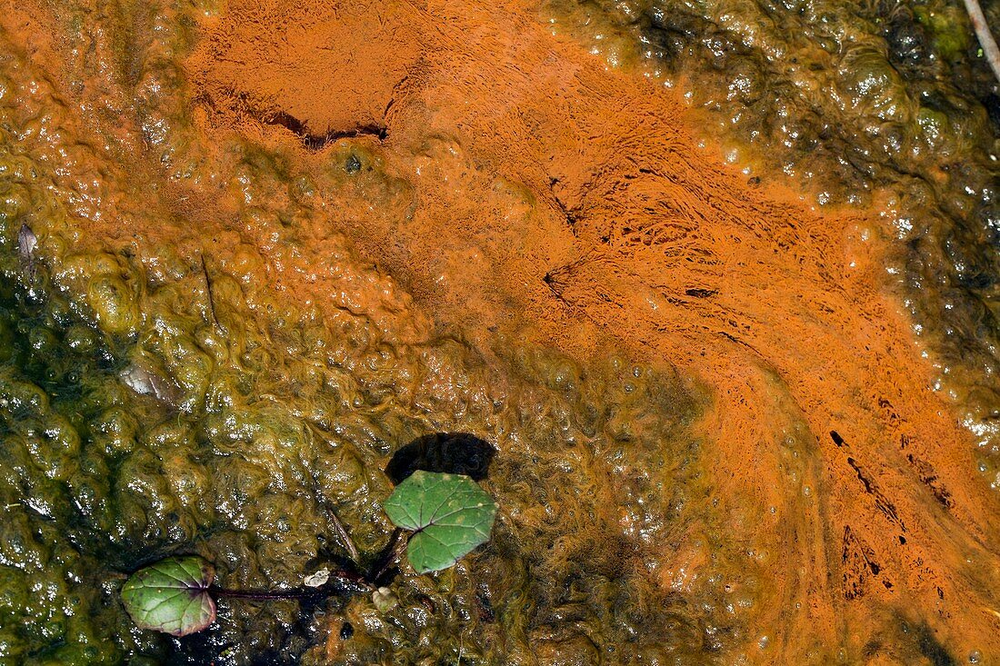 Iron oxide in a stream