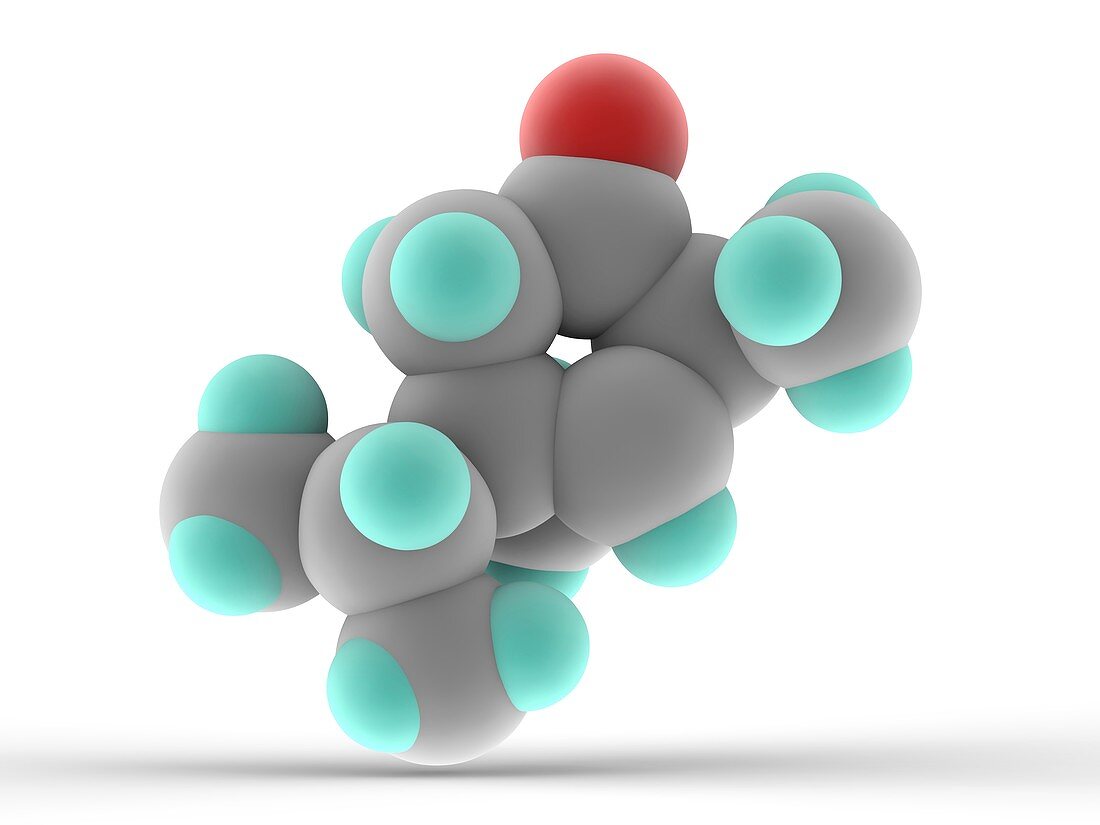 Thujone molecule