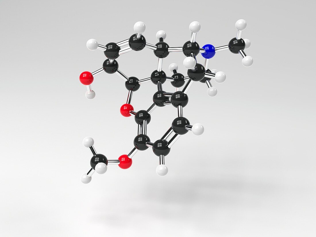 Codeine molecule