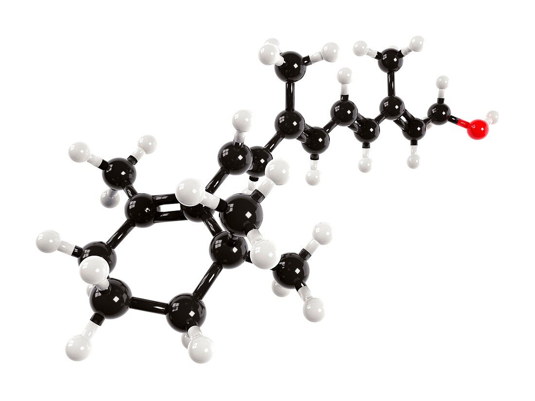 Vitamin A molecule