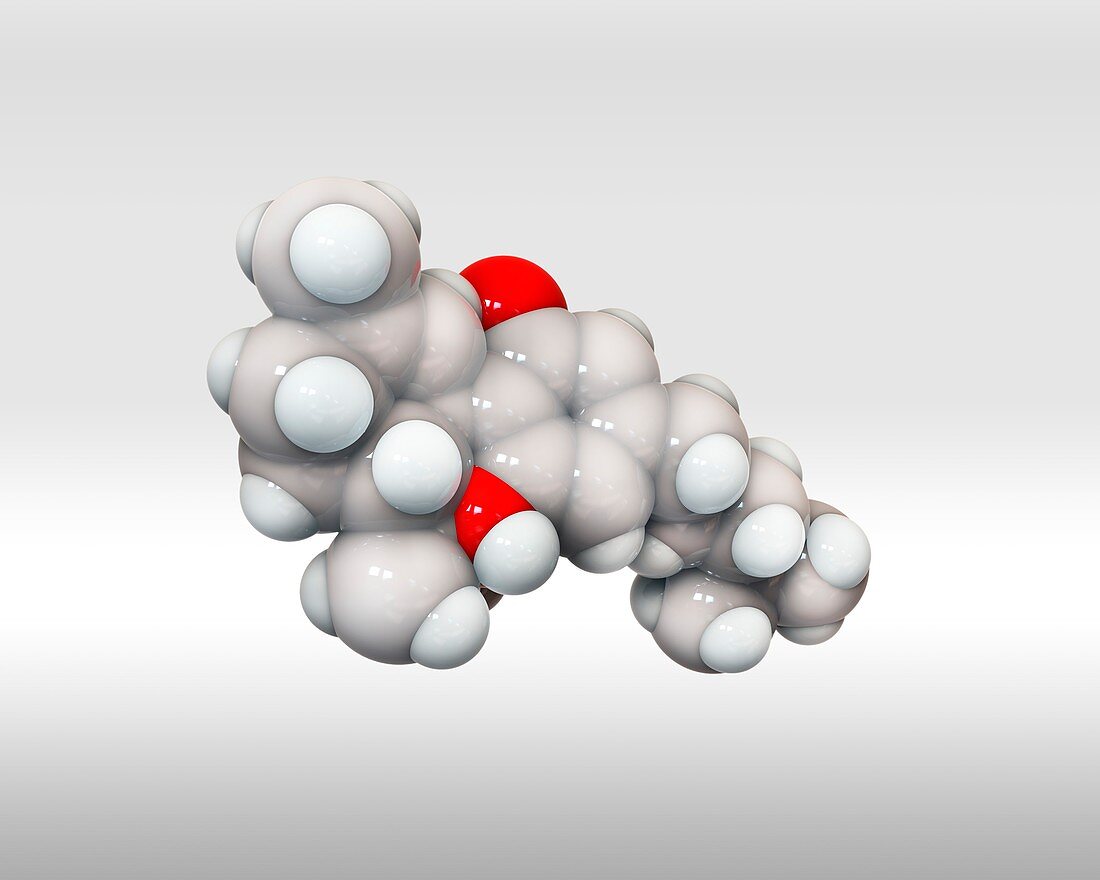 Cannabidiol,molecular model
