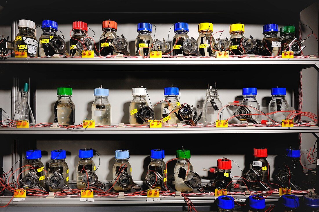 Biofuel battery research