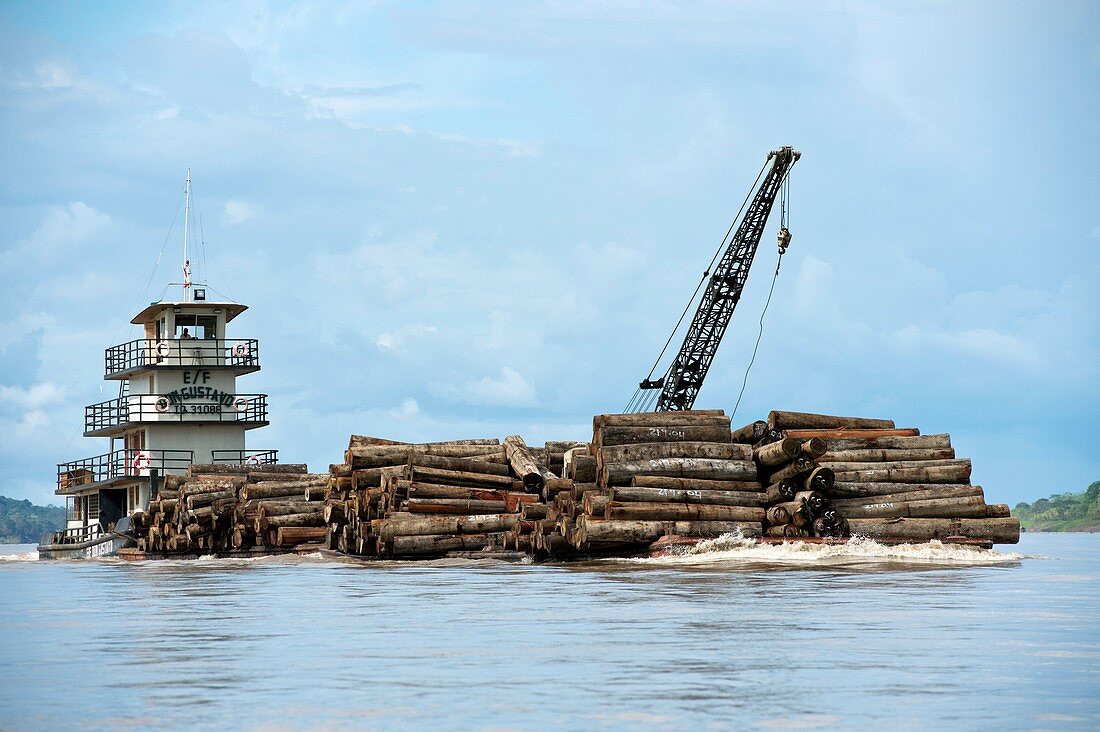 Logging ship,Peru