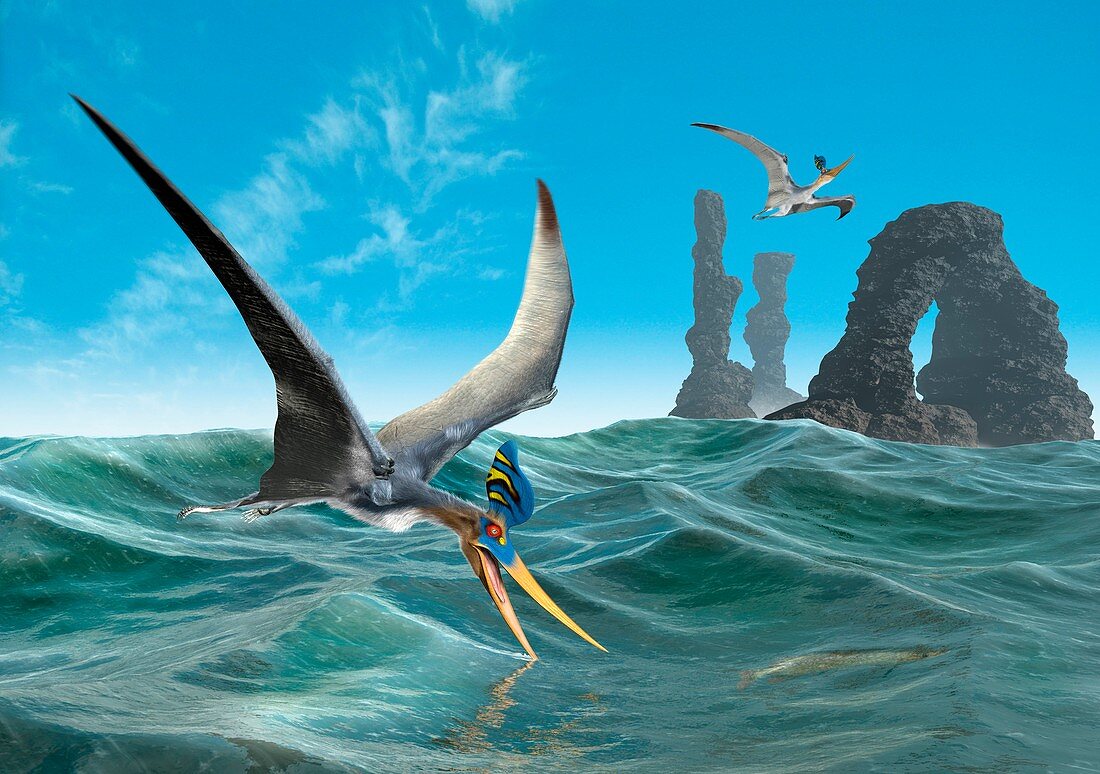 Pteranodon catching fish,artwork