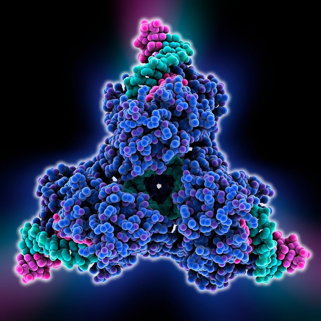 Cre-Lox recombination,molecular model
