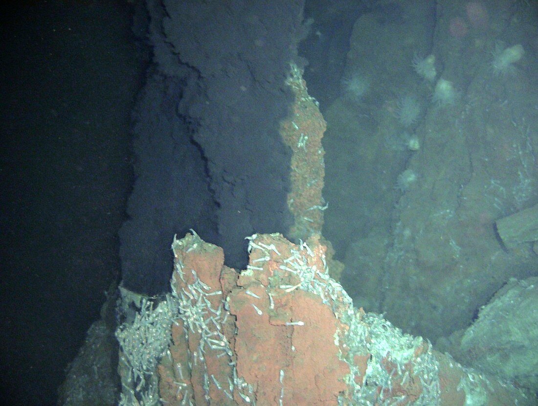 Underwater volcanic vent