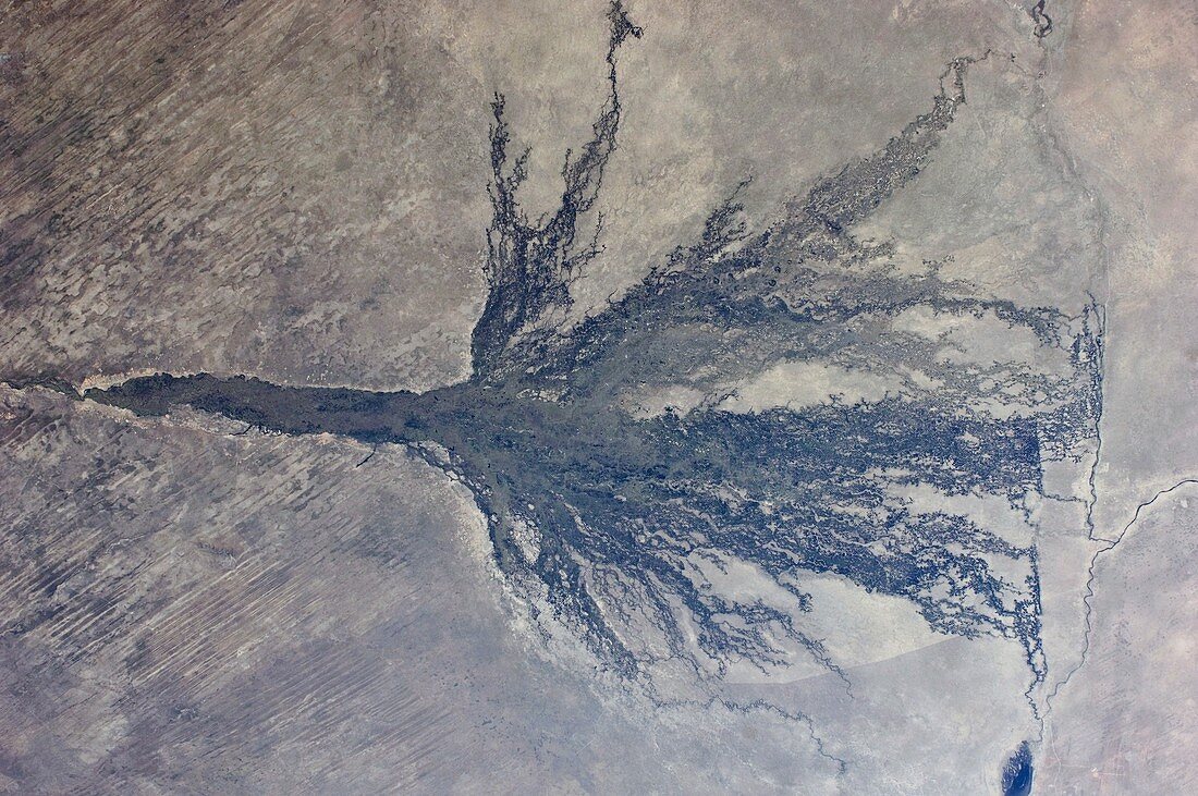 Okavango,Botswana,ISS image