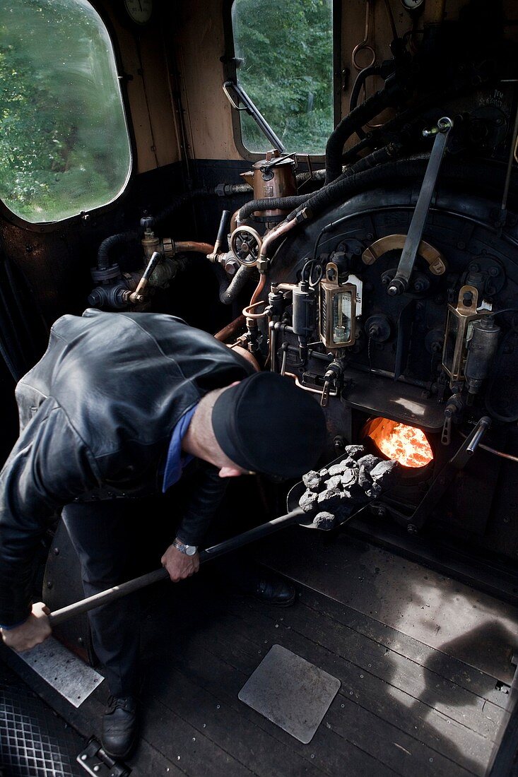 Steam locomotive driver