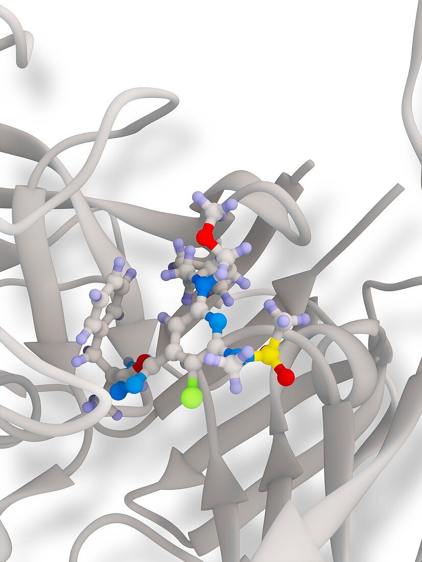 Beta secretase inhibitor,molecular model