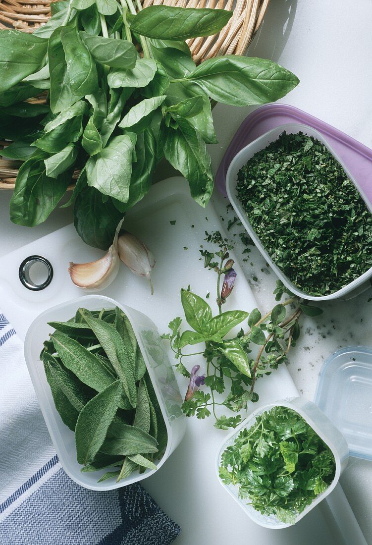 Fresh Herbs in Plastic Containers