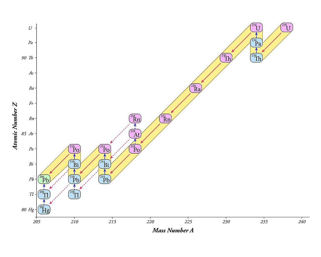 Nuclear decay chain,radium series