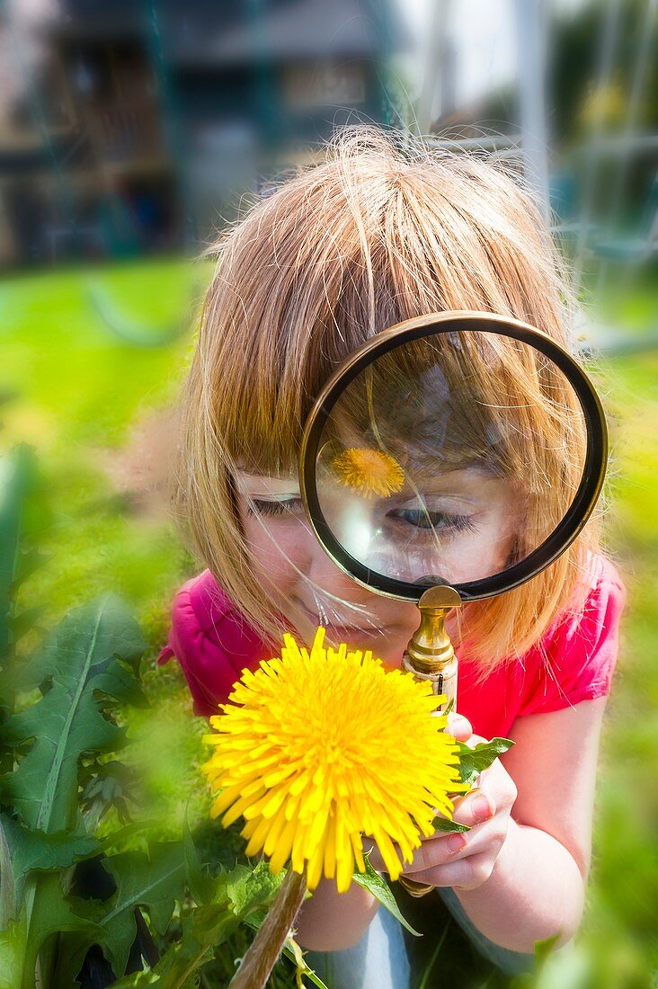 Examining flower with magnifying glass