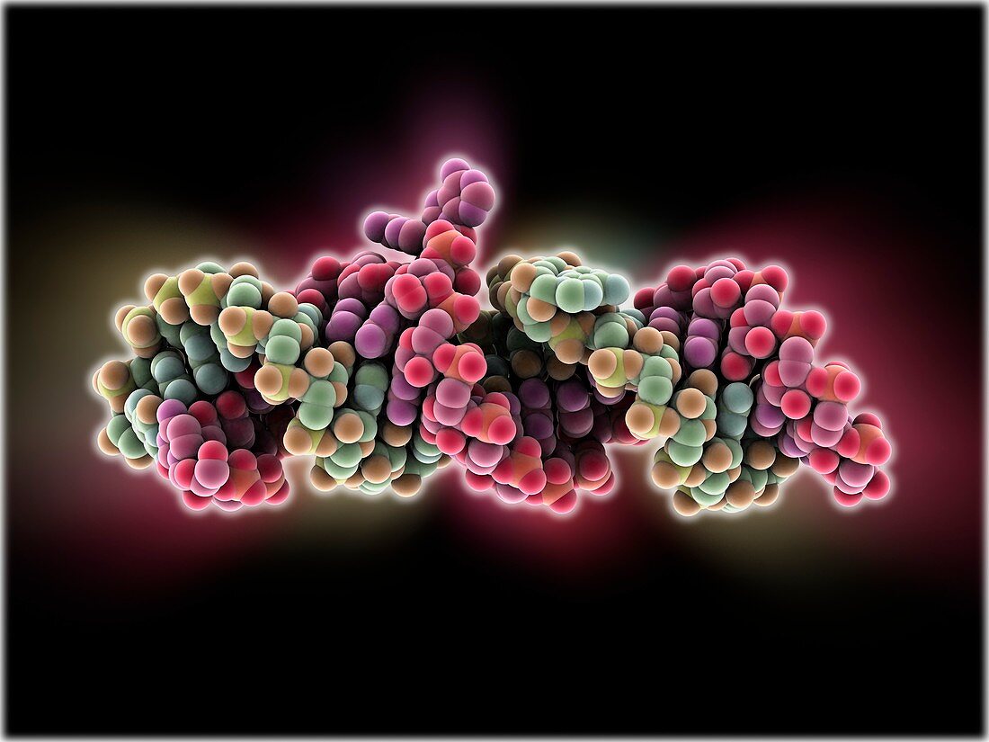 Genomic HIV-RNA duplex