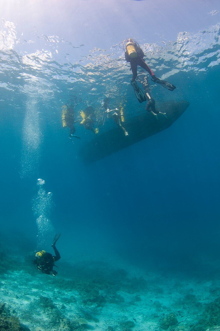 Divers starting a dive