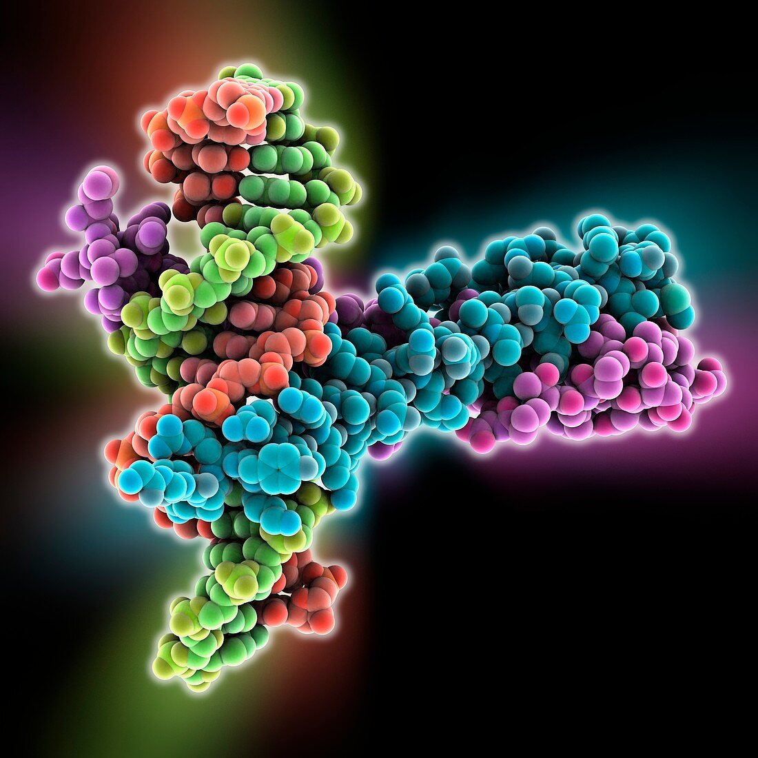 Epstein-Barr virus protein and DNA