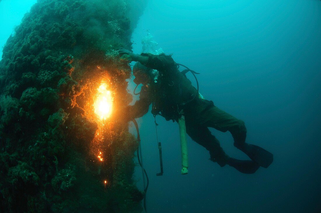 Commercial Diver at Work