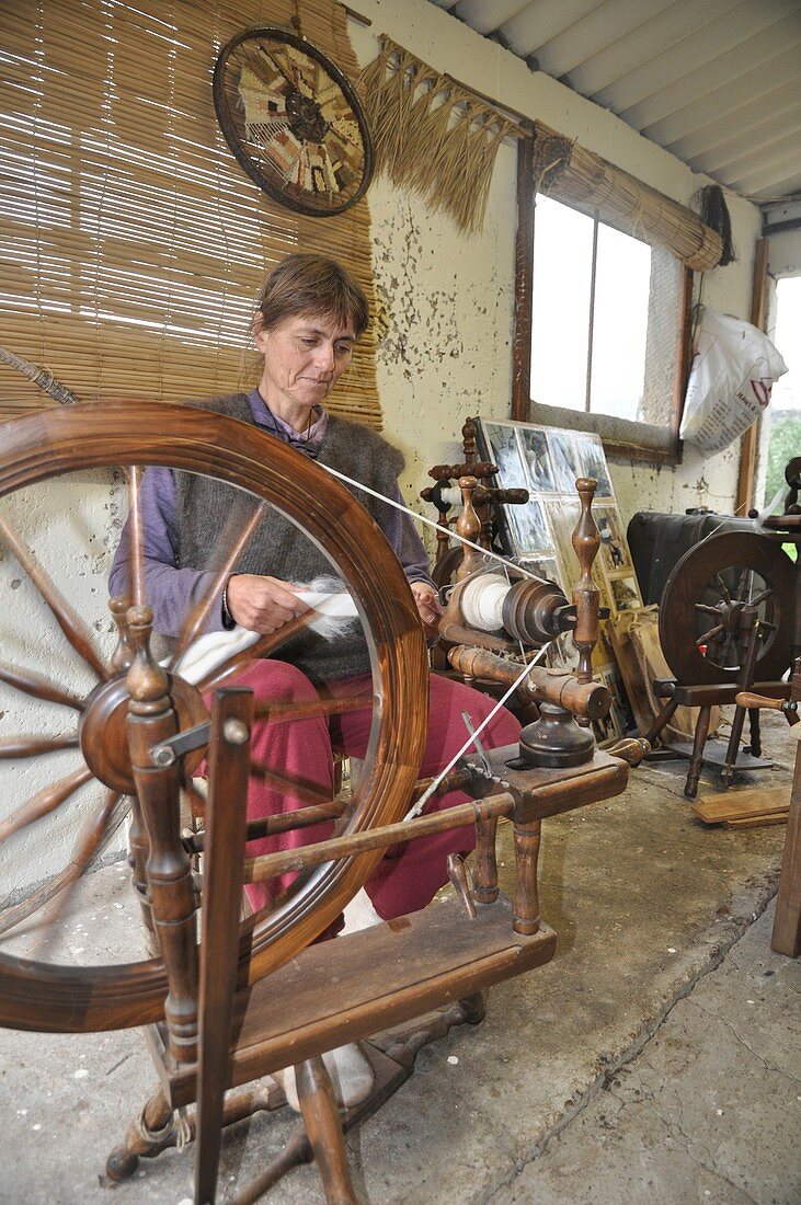 Wool Spinning Wheel