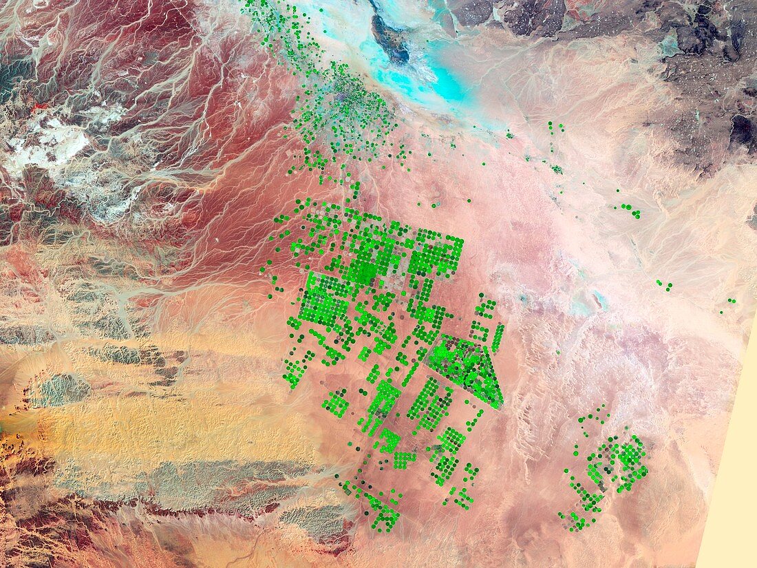 Saudi Arabia agriculture,2000