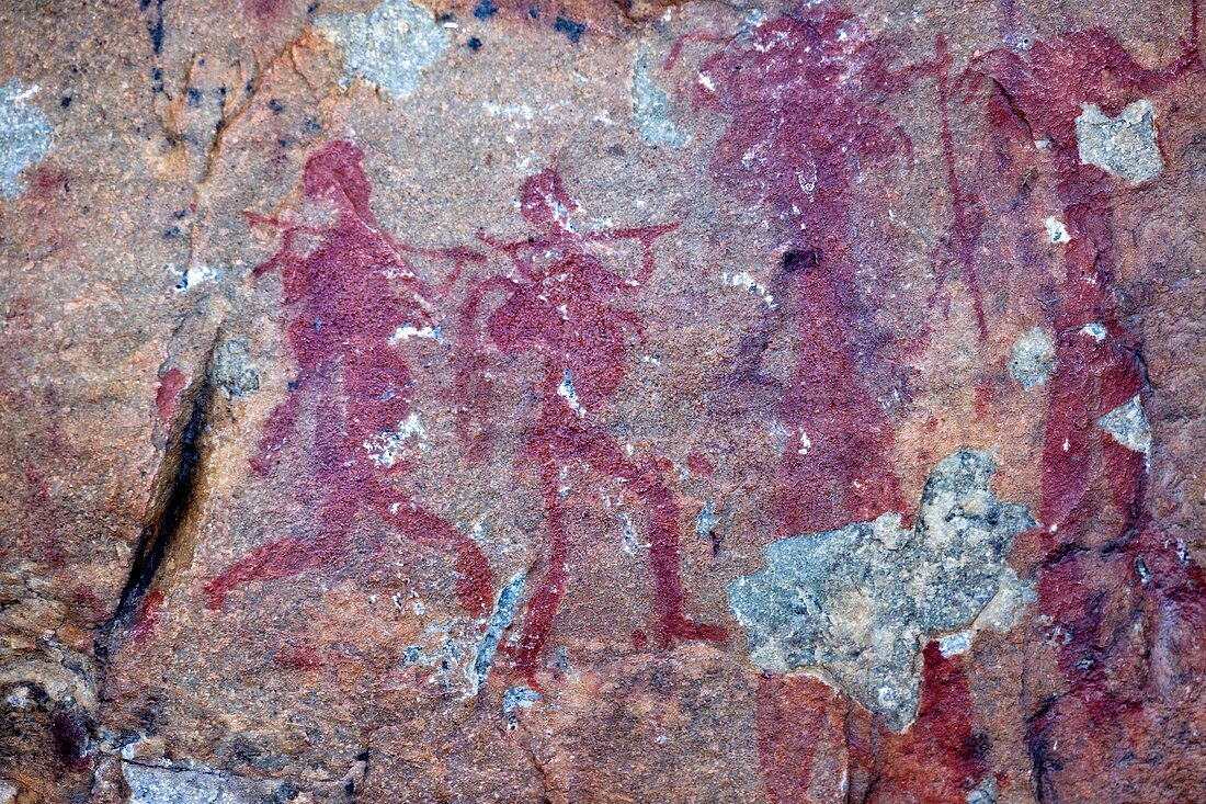 Petroglyphs,South Africa