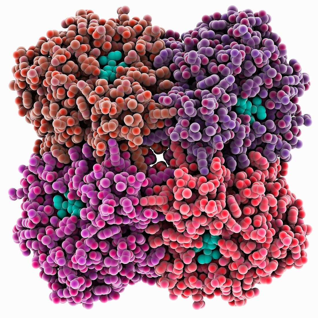 Flu virus surface protein and drug