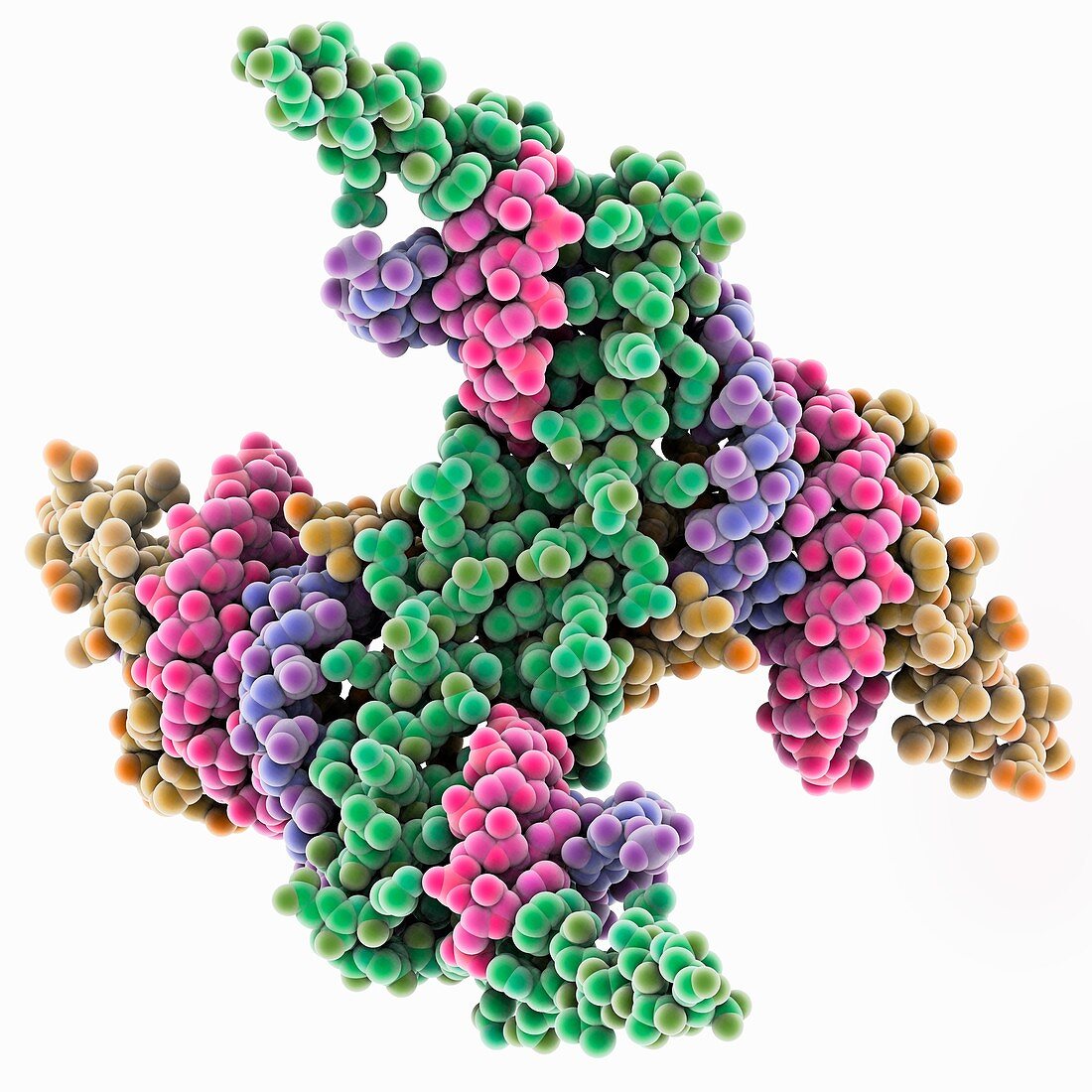 Viral RNA interference complex