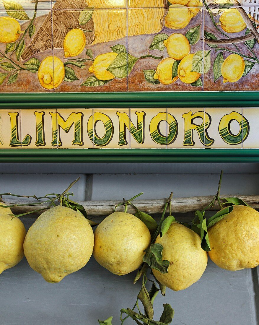 Sorrento lemons,Italy