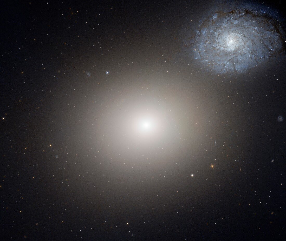 Galaxy pair Arp 116,HST image