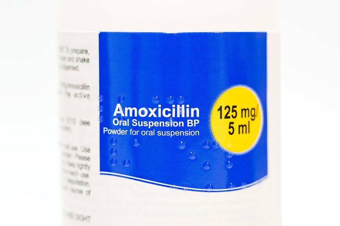 Amoxicillin antibiotic powder