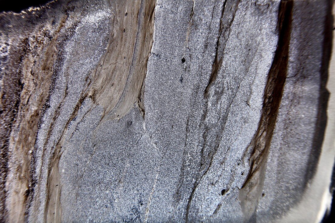 Slate sample,light micrograph