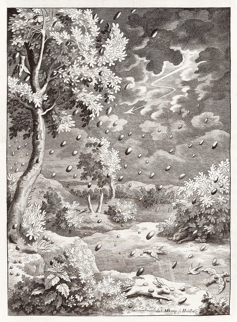Hailstones,18th century