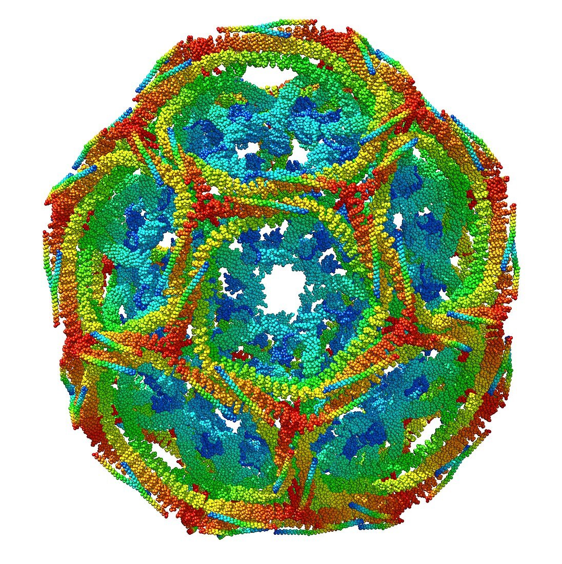 Clathrin lattice,molecular model