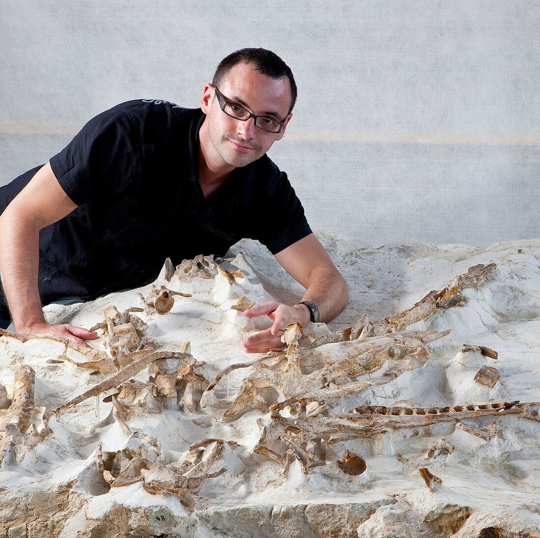Crocodilian fossil research