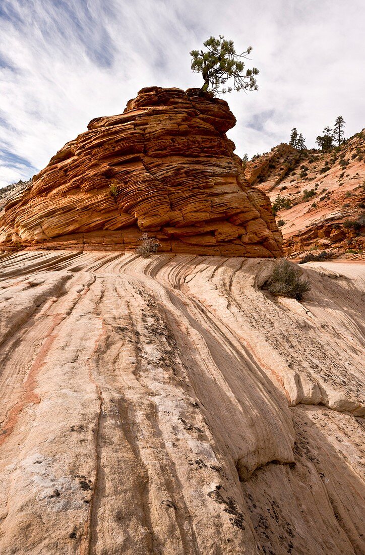 Sandstone in Zion National Park,USA