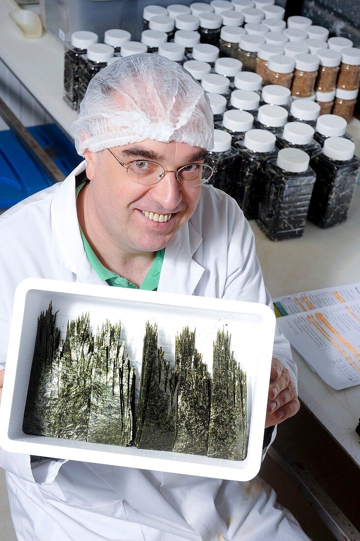 Manufacture of algae-based food products