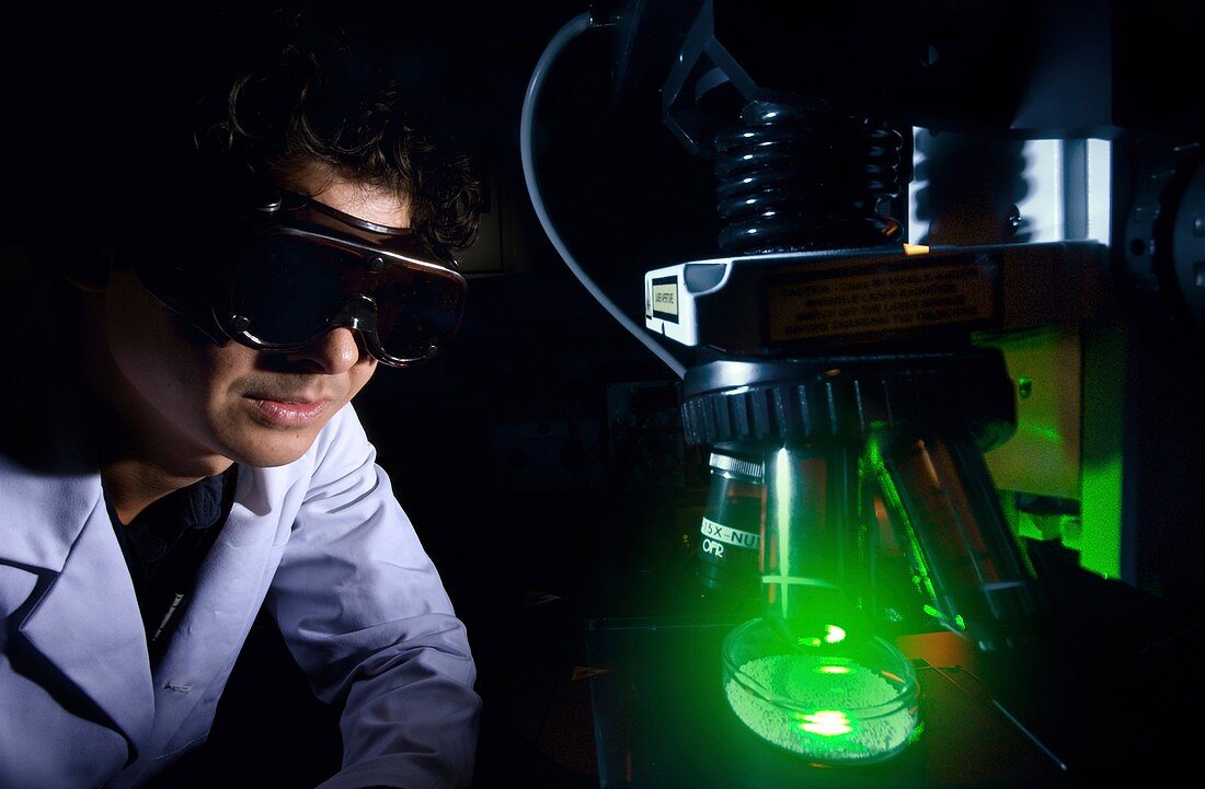 Raman laser spectroscopy