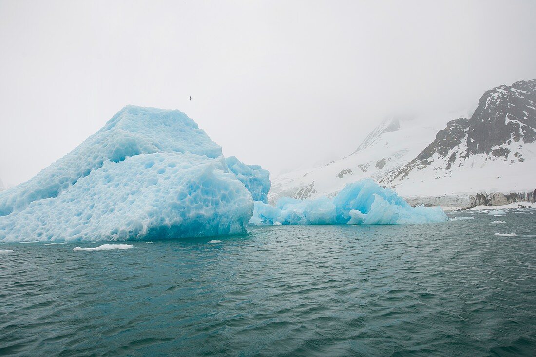 Icebergs,Norway