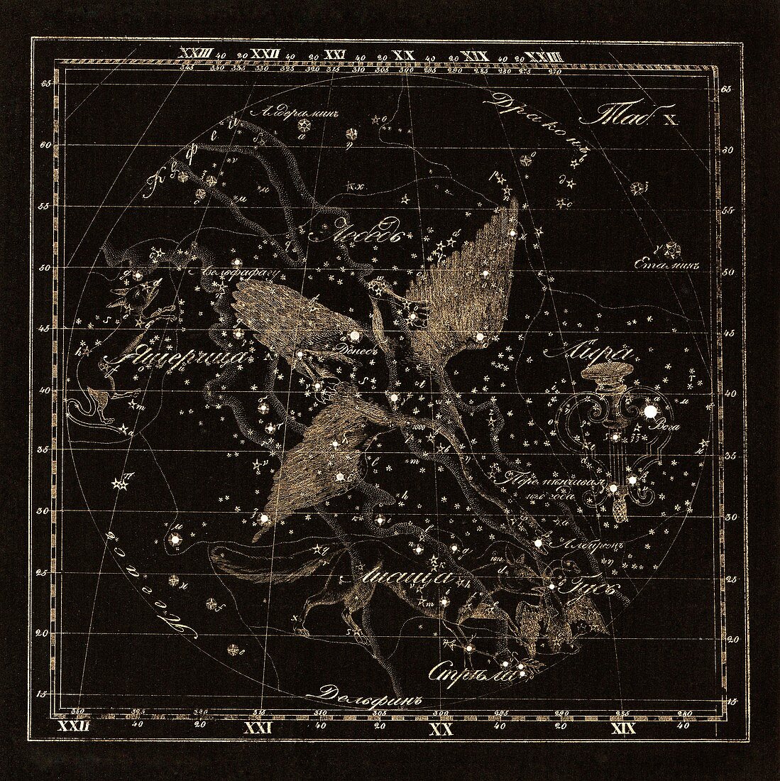 Cygnus constellations,1829