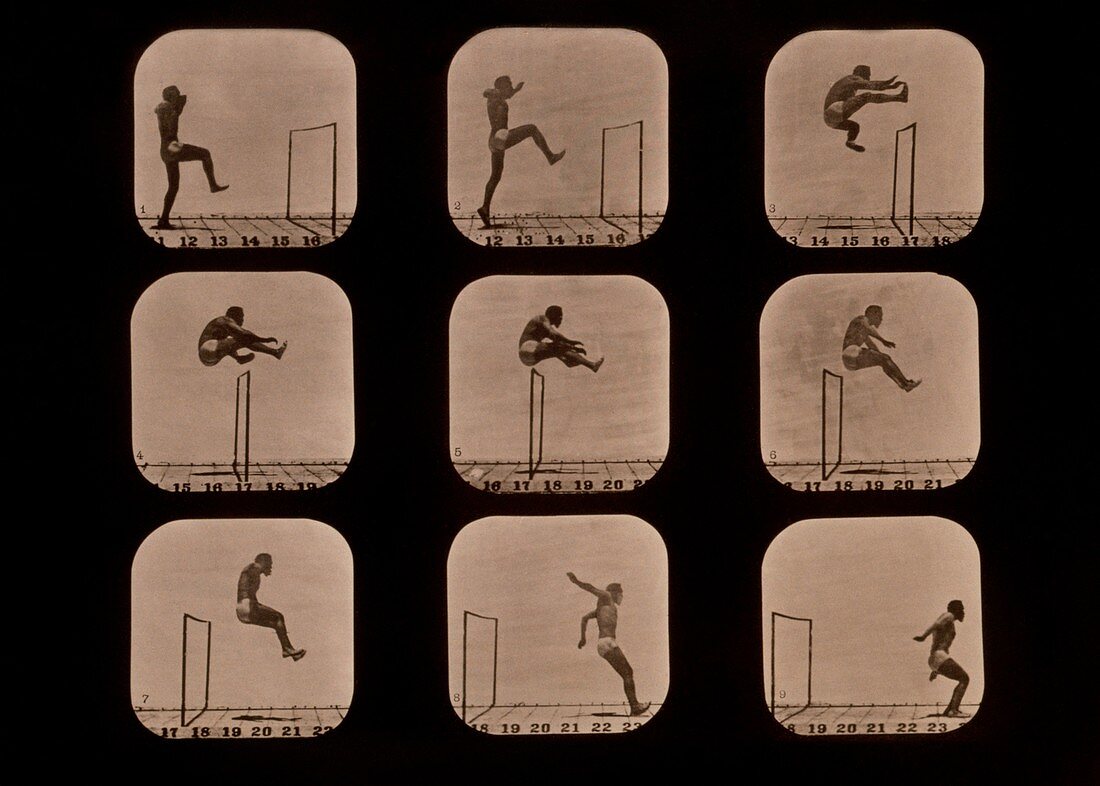 Muybridge motion study,1870s