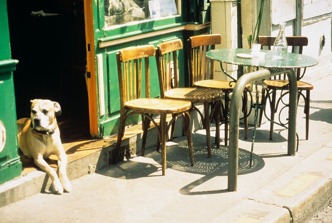 A Dog Laying in a Doorway of a Cafe in Paris France