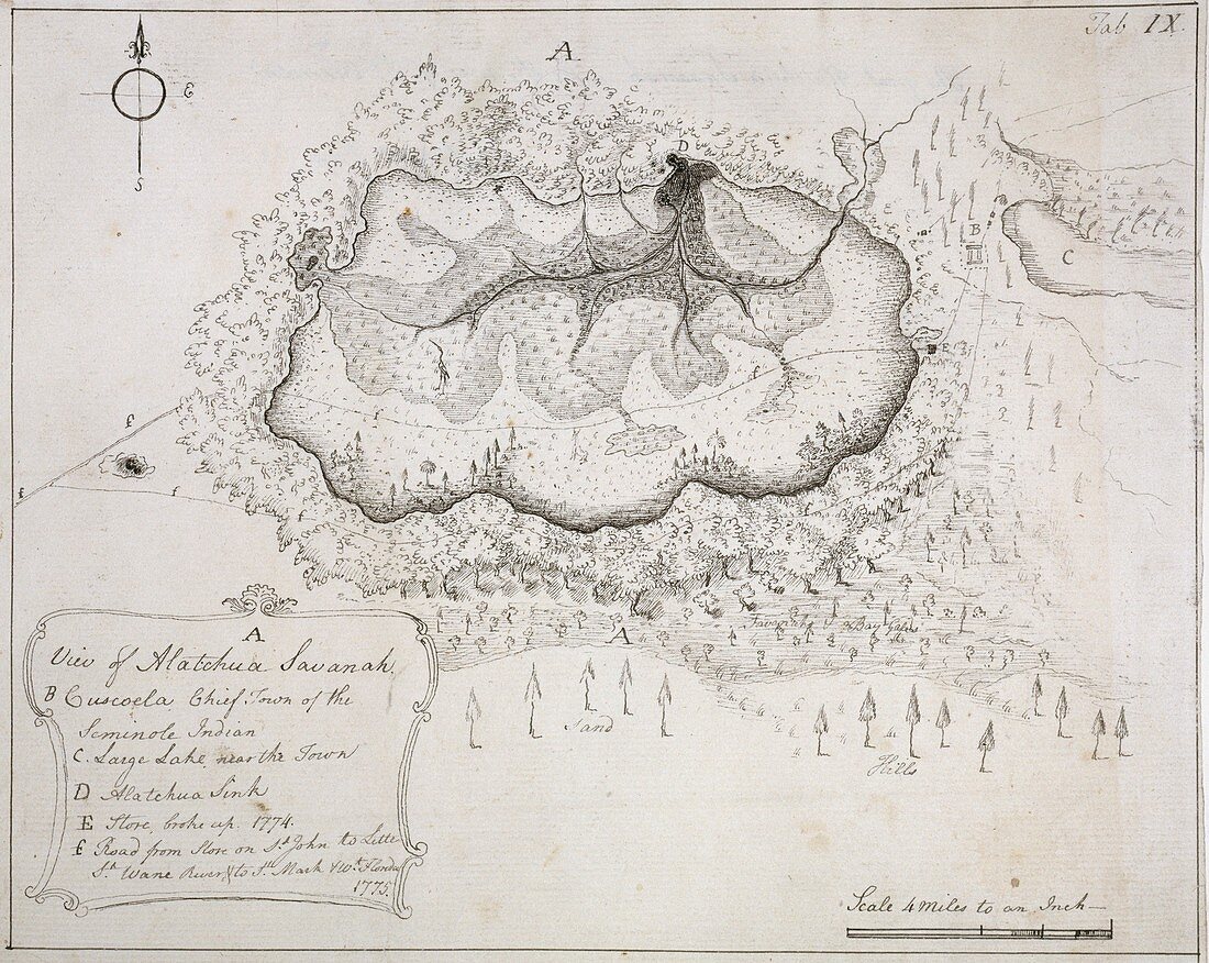 The Great Alachua Savanah,Florida,1775