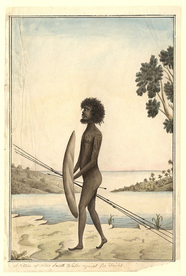 Aboriginal warrior,18th century