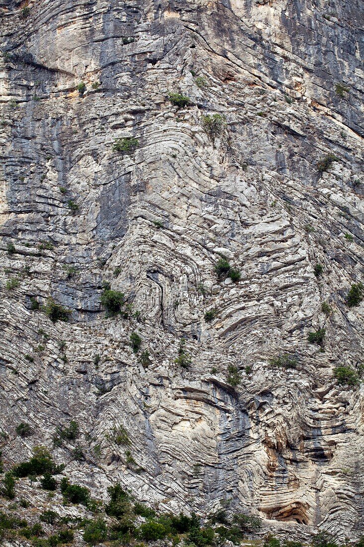 Folded rock strata