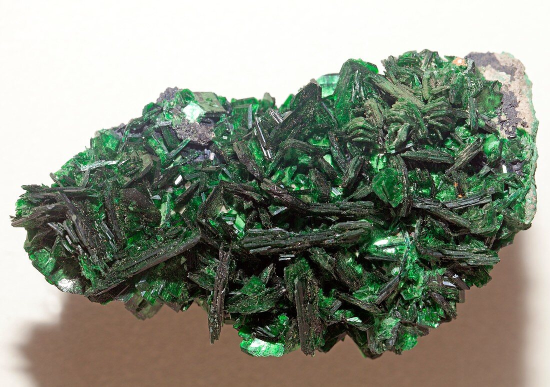 Metatorbernite mineral