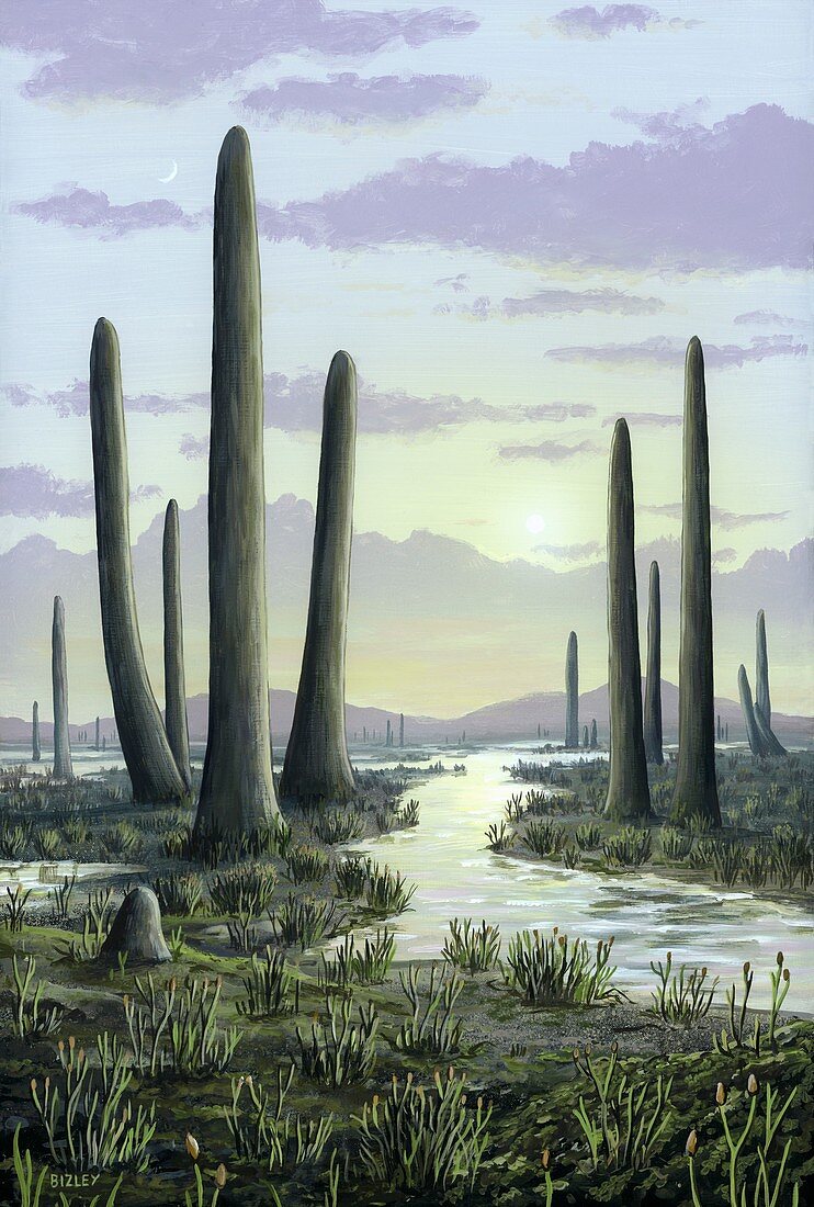 Early Devonian landscape,artwork