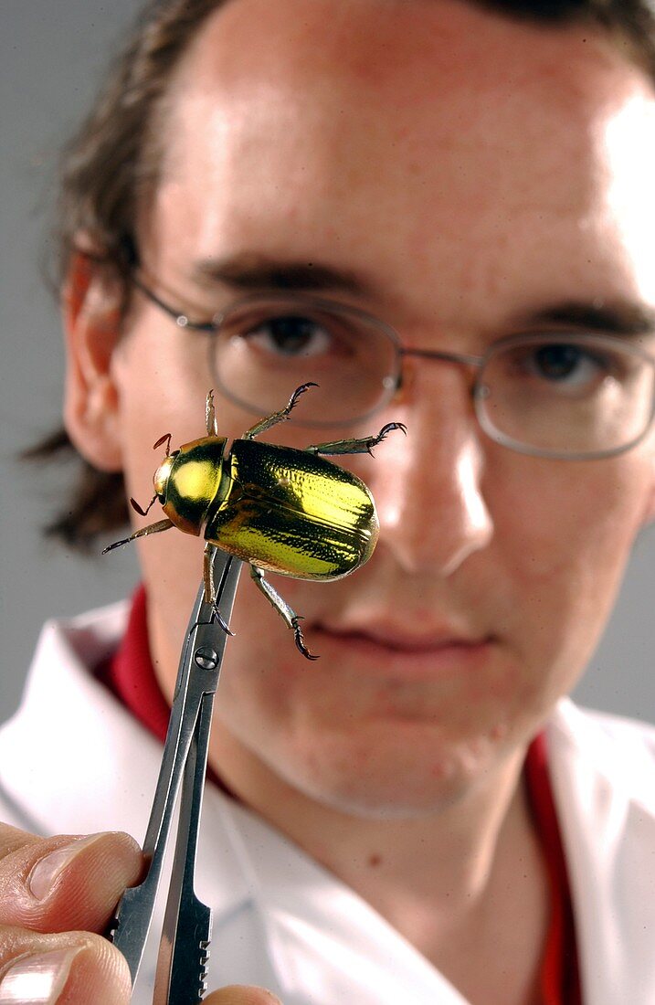 Curator with beetle specimen