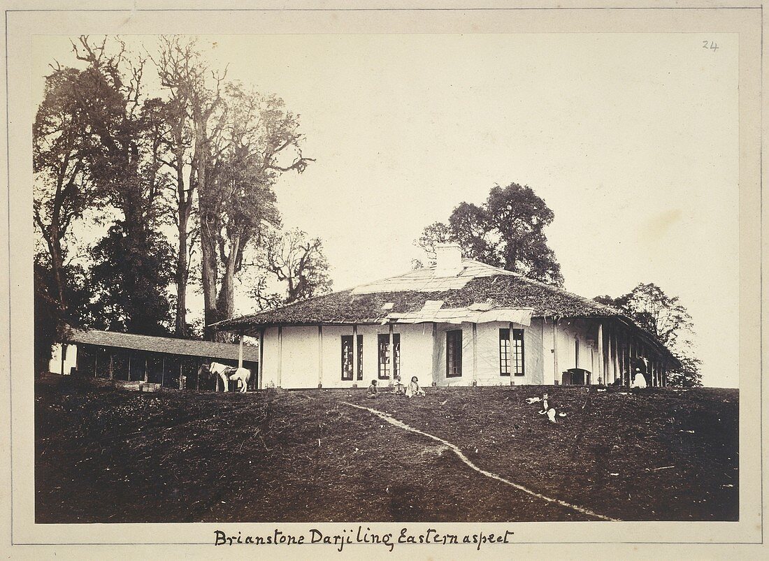 Bungalow,Darjeeling,India,1850