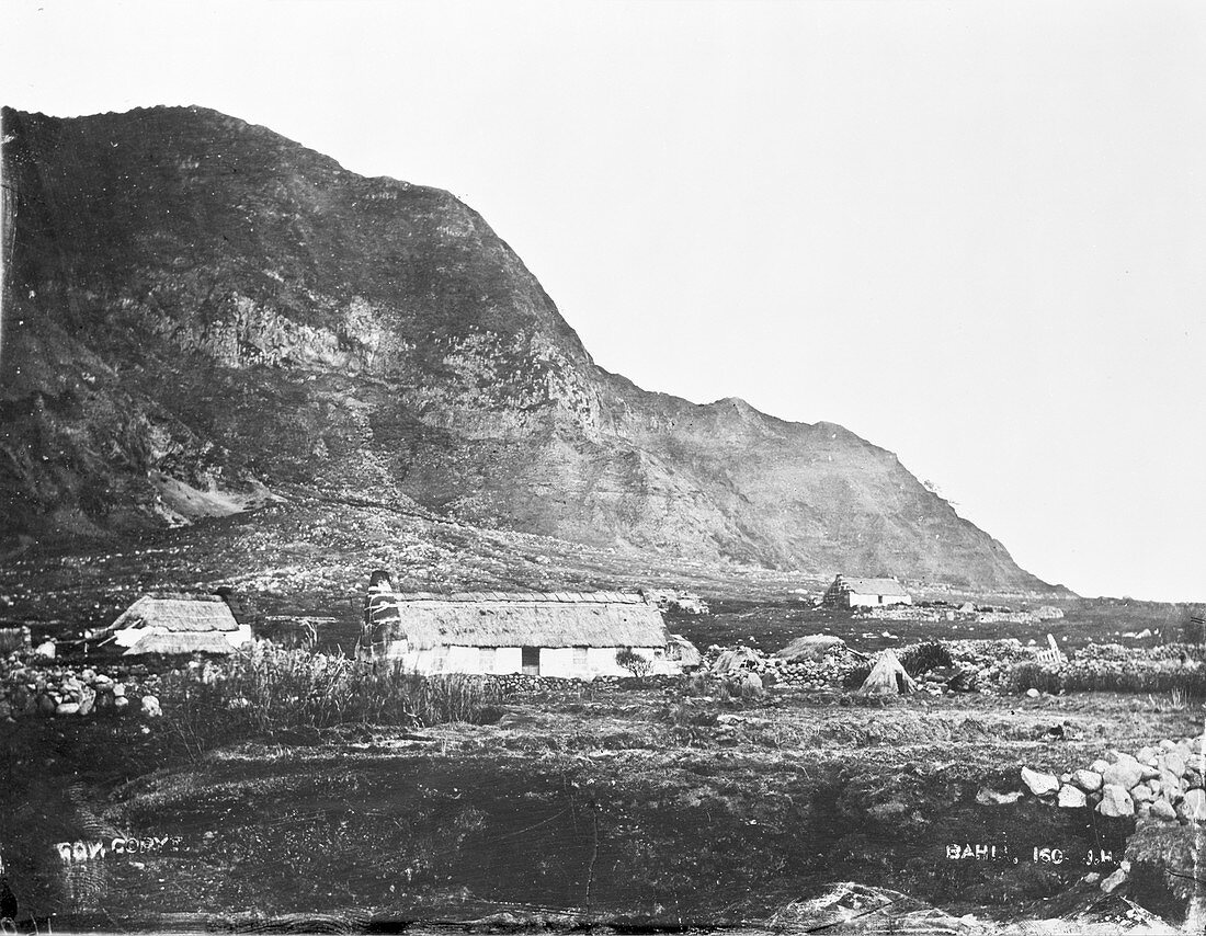 Tristan da Cunha,circa 1870