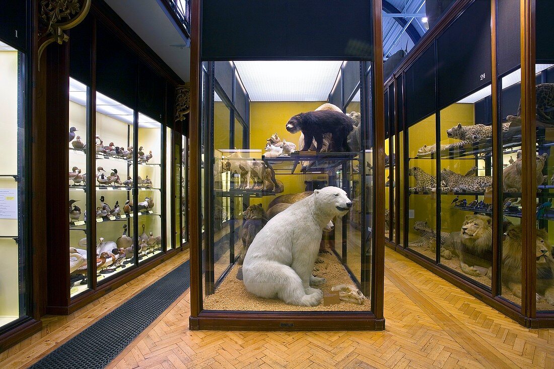 The Natural History Museum,Tring,UK