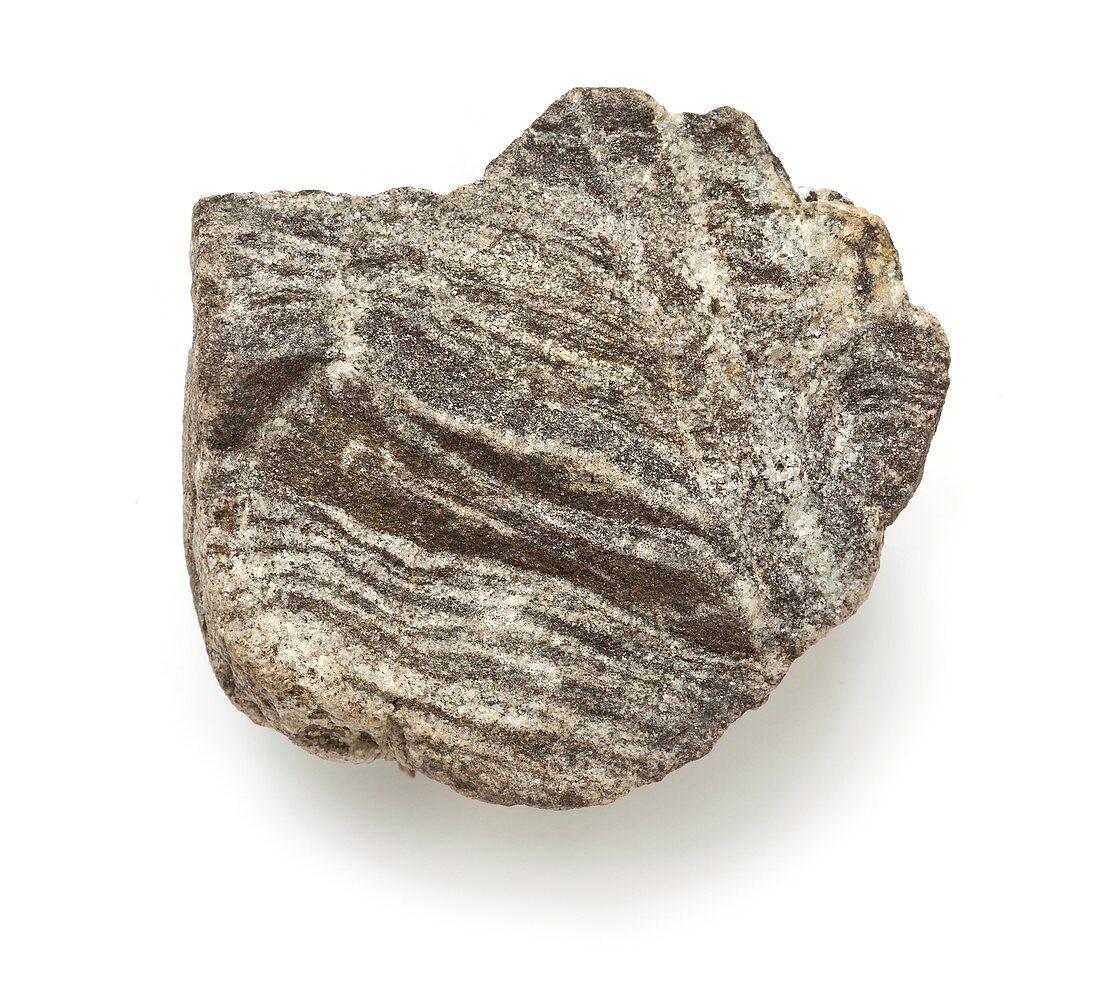 Banded gneiss